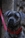 IPSI - Triola Cane Corso